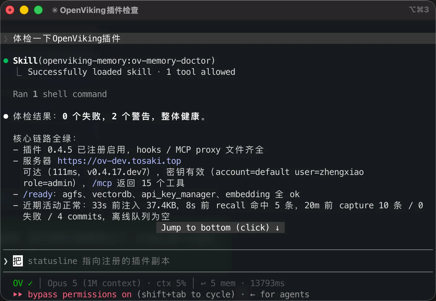 The report after asking the OpenViking plugin to check itself in Claude Code