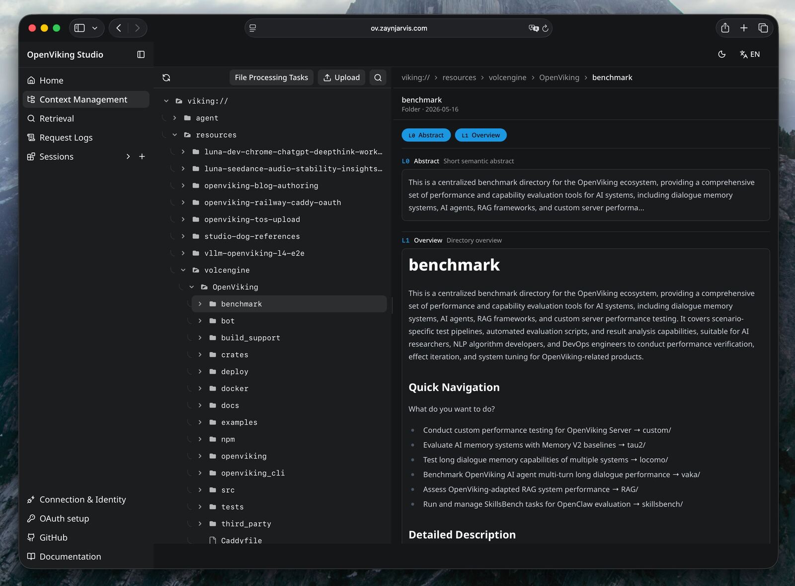 OpenViking Studio desktop view showing the viking resource tree and an L0/L1 overview panel.